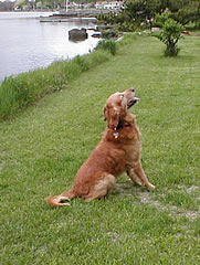 Jake