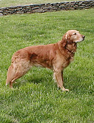 Kreft's Jake