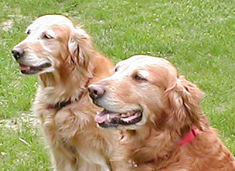 Peaches & Jake