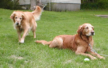 Peaches and Jake