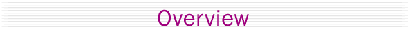 Overview